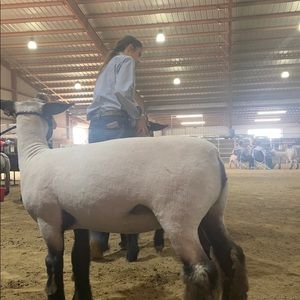 Meet your Posher, Mary